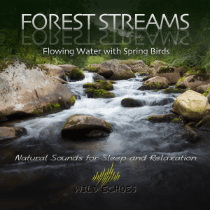 Forest Streams