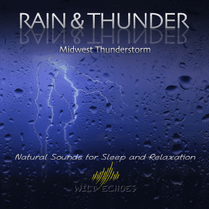 Midwest Thunderstorm