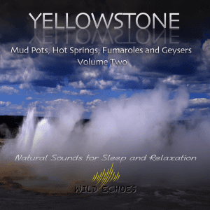 Yellowstone Vol 2